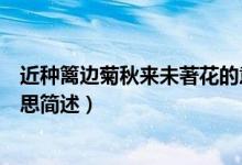 近種籬邊菊秋來未著花的意思（近種籬邊菊秋來未著花的意思簡述）