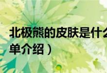 北極熊的皮膚是什么顏色螞蟻莊園（北極熊簡(jiǎn)單介紹）