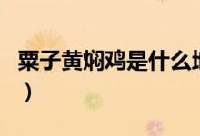 粟子黃燜雞是什么地方的菜（粟子黃燜雞介紹）