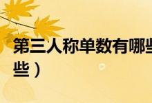 第三人稱單數(shù)有哪些分類（第三人稱單數(shù)有哪些）