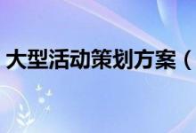 大型活動(dòng)策劃方案（大型活動(dòng)策劃方案示例）