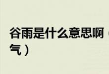 谷雨是什么意思?。ü扔晔墙邓饾u增多的節(jié)氣）