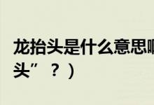 龍?zhí)ь^是什么意思?。ǘ露槭裁唇小褒?zhí)ь^”？）