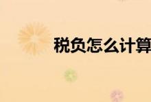 稅負(fù)怎么計(jì)算（稅負(fù)如何計(jì)算）