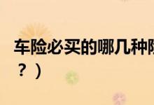 車(chē)險(xiǎn)必買(mǎi)的哪幾種險(xiǎn)（車(chē)輛保險(xiǎn)最好買(mǎi)哪幾種？）