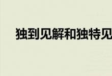 獨到見解和獨特見解的區(qū)別（獨到見解）
