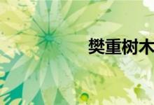 樊重樹(shù)木（樊重樹(shù)木）