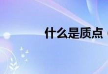 什么是質(zhì)點(diǎn)（質(zhì)點(diǎn)系是什么）