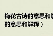 梅花古詩的意思和解釋視頻幼兒園（梅花古詩的意思和解釋）