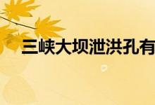 三峽大壩泄洪孔有幾個(gè)（三峽大壩簡介）