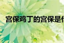 宮保雞丁的宮保是什么意思（宮保的含義）
