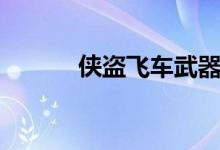 俠盜飛車武器秘籍（具體如下）