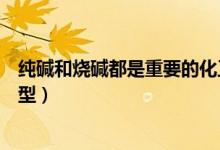 純堿和燒堿都是重要的化工原料（純堿制燒堿是什么反應(yīng)類型）