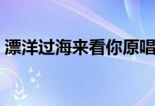 漂洋過海來看你原唱（漂洋過海來看你簡介）