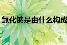 氯化鈉是由什么構(gòu)成的（氯化鈉構(gòu)成的部分）