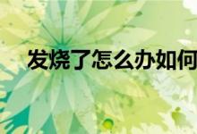 發(fā)燒了怎么辦如何退燒（怎樣快速退燒）