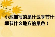 小池描寫的是什么季節(jié)什么地方的景色（小池描寫的是什么季節(jié)什么地方的景色）