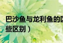 巴沙魚與龍利魚的區(qū)別（巴沙魚和龍利魚有哪些區(qū)別）