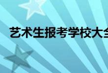 藝術(shù)生報(bào)考學(xué)校大全（可以報(bào)考哪些院校）