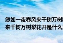 忽如一夜春風(fēng)來千樹萬樹梨花開是什么意思（忽如一夜春風(fēng)來千樹萬樹梨花開是什么意思）