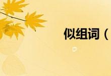 似組詞（似怎么組詞）