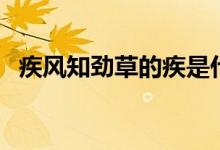疾風知勁草的疾是什么意思（疾風知勁草）