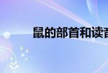 鼠的部首和讀音（鼠的部首是啥）