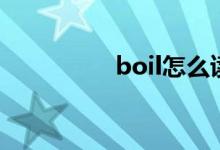 boil怎么讀（boil解釋）