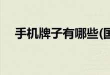 手機(jī)牌子有哪些(國(guó)產(chǎn)最暢銷(xiāo)手機(jī)排行榜)