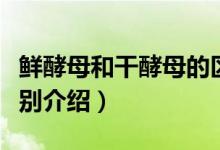 鮮酵母和干酵母的區(qū)別（鮮酵母和干酵母的區(qū)別介紹）