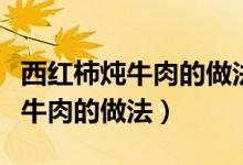 西紅柿燉牛肉的做法最正宗的做法（西紅柿燉牛肉的做法）