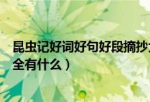 昆蟲記好詞好句好段摘抄大全（昆蟲記好詞好句好段摘抄大全有什么）