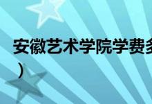 安徽藝術(shù)學(xué)院學(xué)費多少（安徽藝術(shù)學(xué)院是幾本）