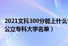 2021文科300分能上什么?？拼髮W(xué)（2022高考文科300多分公立?？拼髮W(xué)名單）