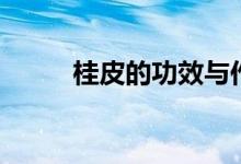 桂皮的功效與作用（快來看看吧）