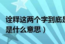 詮釋這兩個字到底是什么意思（詮釋這兩個字是什么意思）