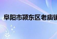 阜陽市潁東區(qū)老廟鎮(zhèn)百樂幼兒園的地址在哪