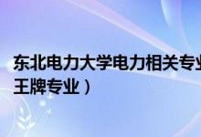 東北電力大學(xué)電力相關(guān)專業(yè)（2022東北電力大學(xué)開設(shè)了哪些王牌專業(yè)）