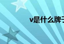v是什么牌子的車（v是幾）