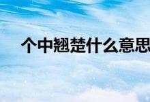 個中翹楚什么意思（個中翹楚是何意思）
