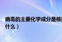 病毒的主要化學成分是核酸和什么（病毒的主要化學成分是什么）