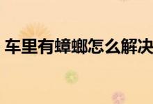 車?yán)镉畜朐趺唇鉀Q（汽車?yán)镉畜朐趺崔k）