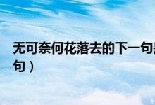 無可奈何花落去的下一句是哪一句（無可奈何花落去的下一句）