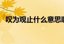 嘆為觀止什么意思啊（嘆為觀止什么意思）