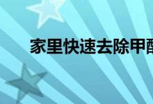 家里快速去除甲醛（這些方法都可以）