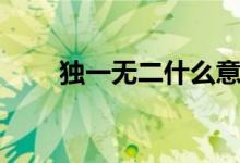 獨一無二什么意思（獨一無二出處）