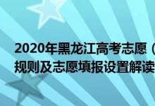 2020年黑龍江高考志愿（2022年黑龍江高考平行志愿錄取規(guī)則及志愿填報設(shè)置解讀）
