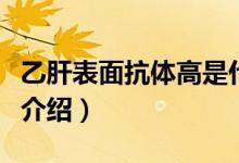 乙肝表面抗體高是什么意思(乙肝表面抗體高介紹)