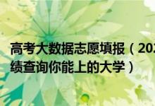 高考大數(shù)據(jù)志愿填報（2022年高考志愿大數(shù)據(jù)查詢：輸入成績查詢你能上的大學(xué)）