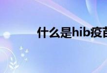 什么是hib疫苗（何謂hib疫苗）